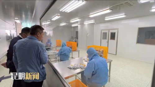 深化合作 共贏發展 福建省企業家代表團在昆考察