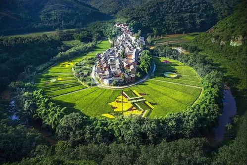 云南暑期特惠游 貴州人民游云南這個地方僅需 2元