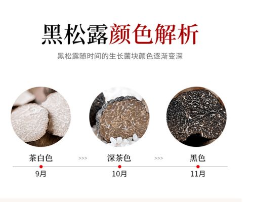 鮮黑松露菌云南特產 香格里拉新鮮黑松露 精品全黑 現采現發,順豐冷鏈包郵