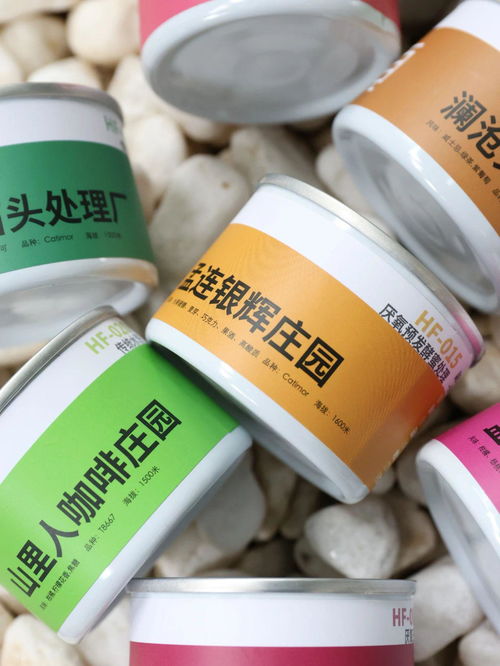 探索云南精品咖啡的無限可能