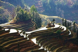 云南印象 昆明 建水 元陽 彌勒 雙飛6天心醉旅程