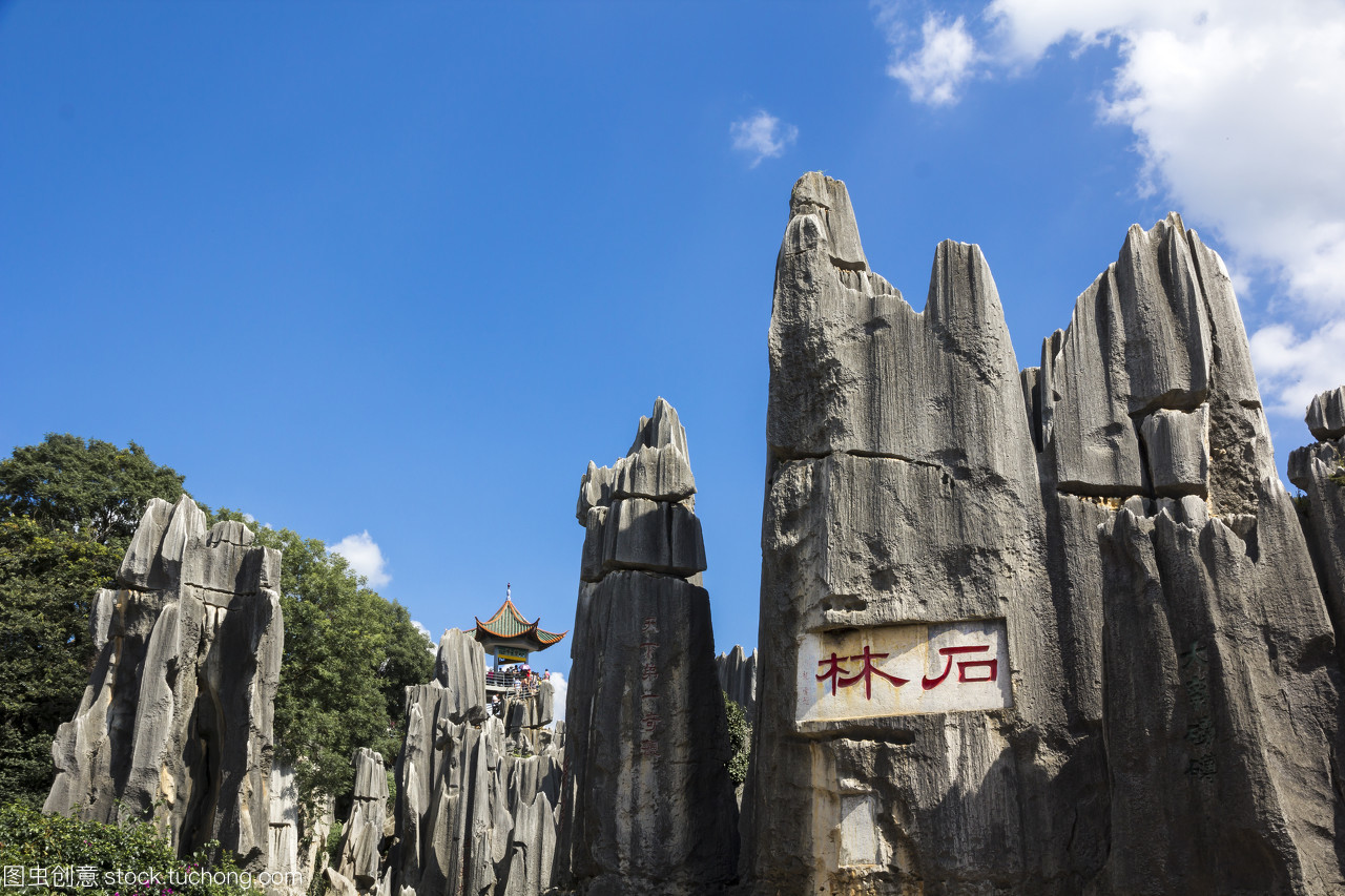 在云南省石林國家公園