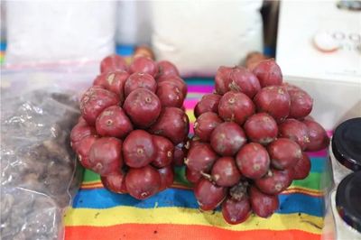 昆明農(nóng)博會開幕,17國農(nóng)產(chǎn)品等你來嘗 ,這些亮點(diǎn)不要錯過|農(nóng)博會|昆明|農(nóng)產(chǎn)品_新浪新聞