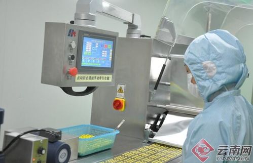 云南民族中醫藥重點企業龍潤集團列入新冠病毒疫情防控物資生產及保供名錄