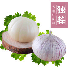 【云南農產品】云南農產品價格/圖片_云南農產品批發/采購_云南農產品廠家/供應商