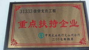 云南省丘北縣云泰食品有限責任公司榮譽證書
