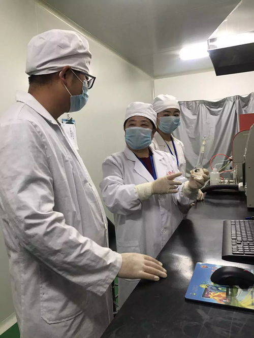 高手在民間,石塊竟藏著一名農民發明家,你認識他嗎