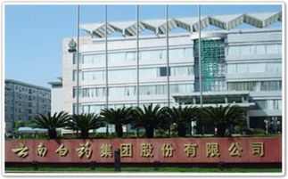 千年昆明僅存七家百年老店 匠心不易