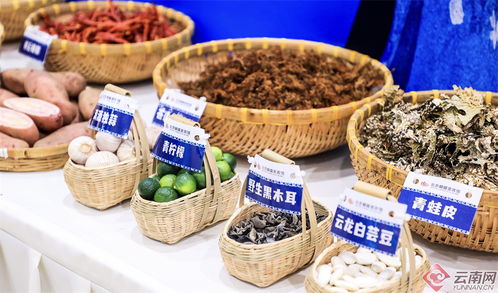 2024 大理味道 美食季 暨云品進京推介活動啟動