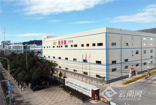 祝賀 第十屆金龍魚外婆鄉小榨菜籽油菜花節 西安站收官 益海嘉里致力保障云南人民食用油安全